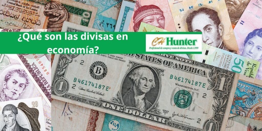 ¿Qué son las divisas en economía?